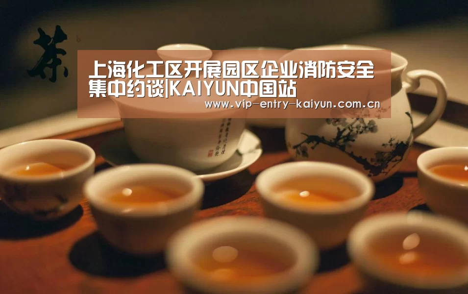 KAIYUN中国站