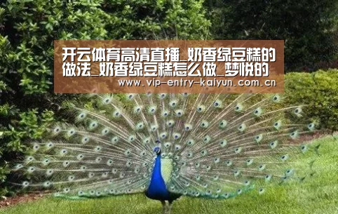 开云体育入口
