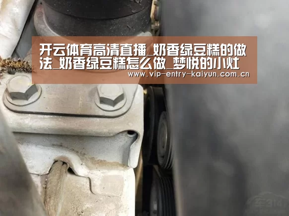 开云体育入口
