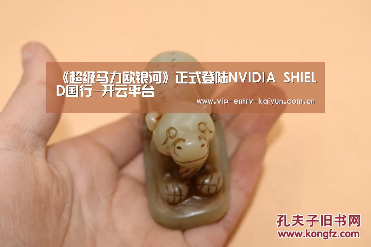 开云体育入口