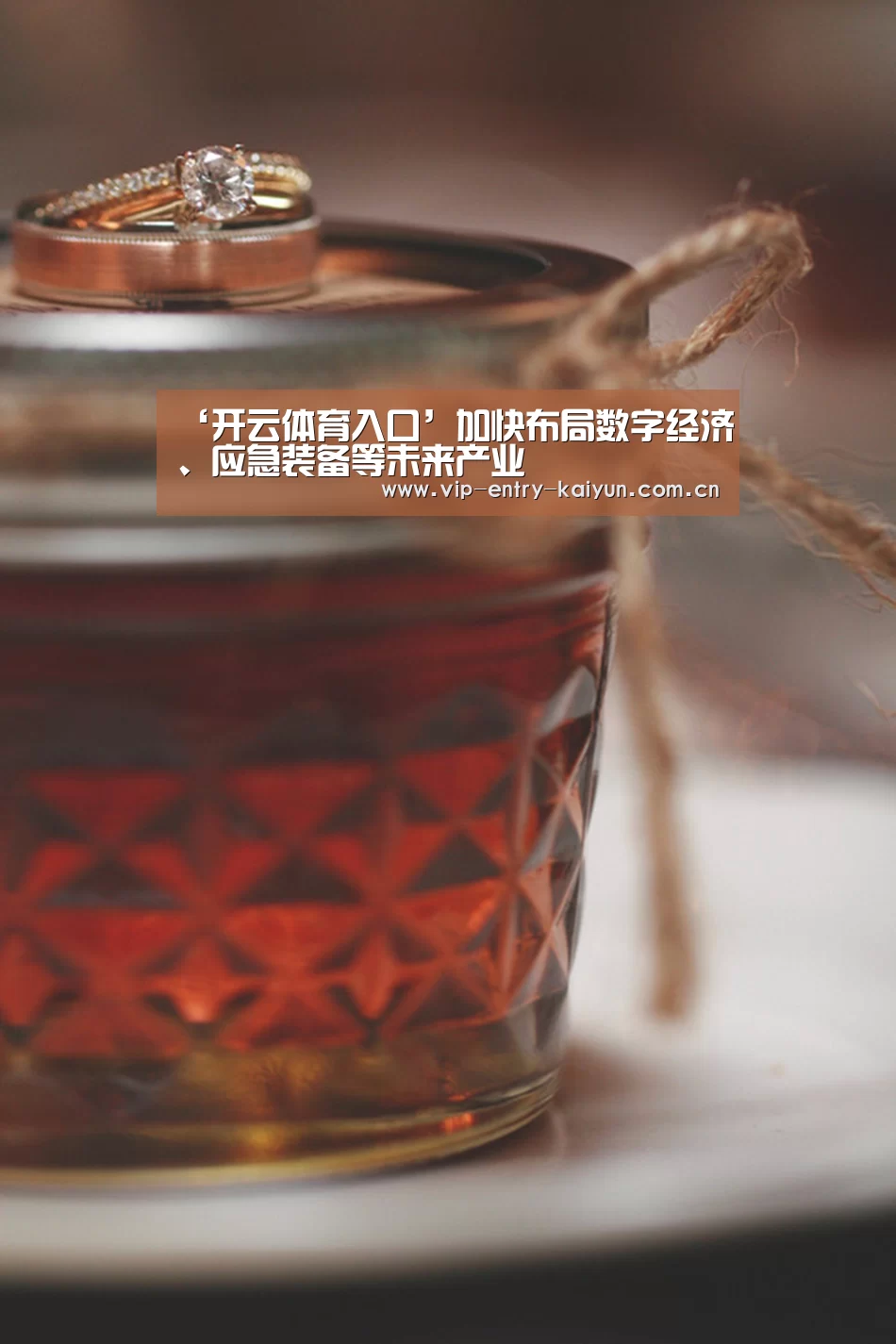 ‘开云体育入口’加快布局数字经济、应急装备等未来产业(图2) 开云体育入口