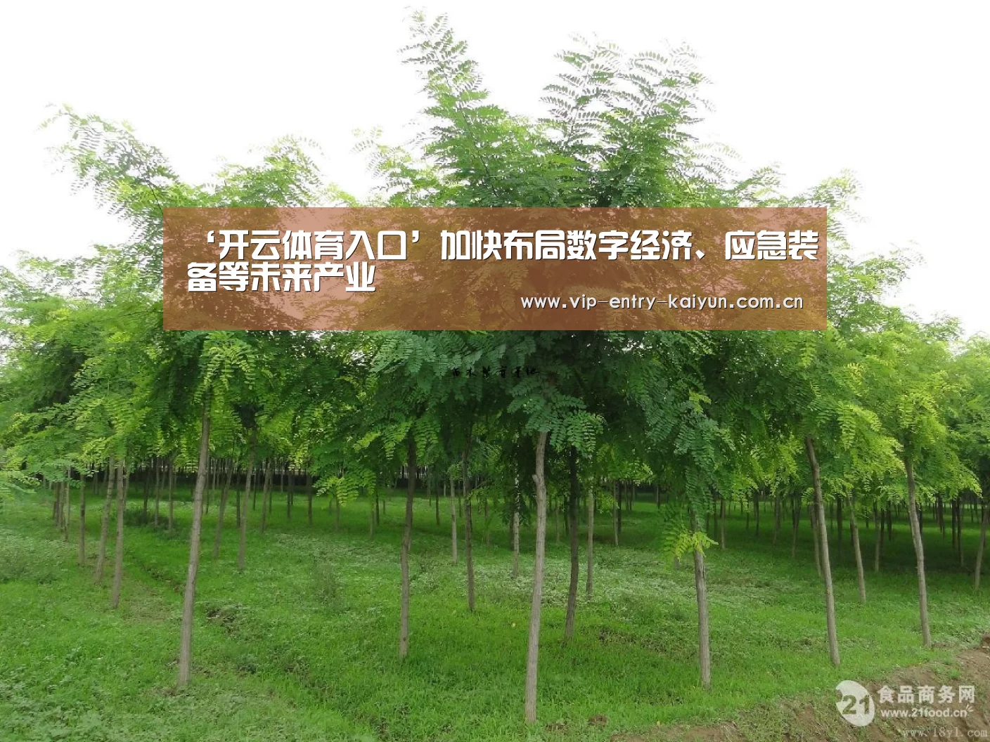 ‘开云体育入口’加快布局数字经济、应急装备等未来产业(图3) 开云平台