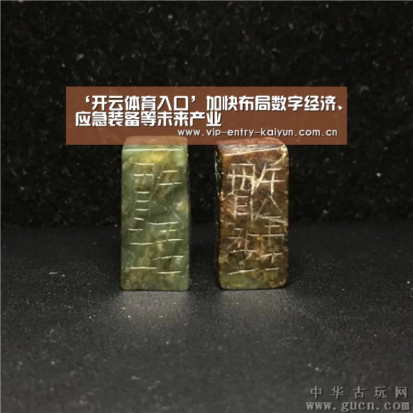 ‘开云体育入口’加快布局数字经济、应急装备等未来产业(图4) 开云体育数据中心